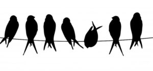 COSA DE PRENSA / “Pájaros en los alambres”