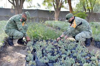 Elementos del ejército