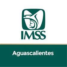 IMSS Aguascalientes llama