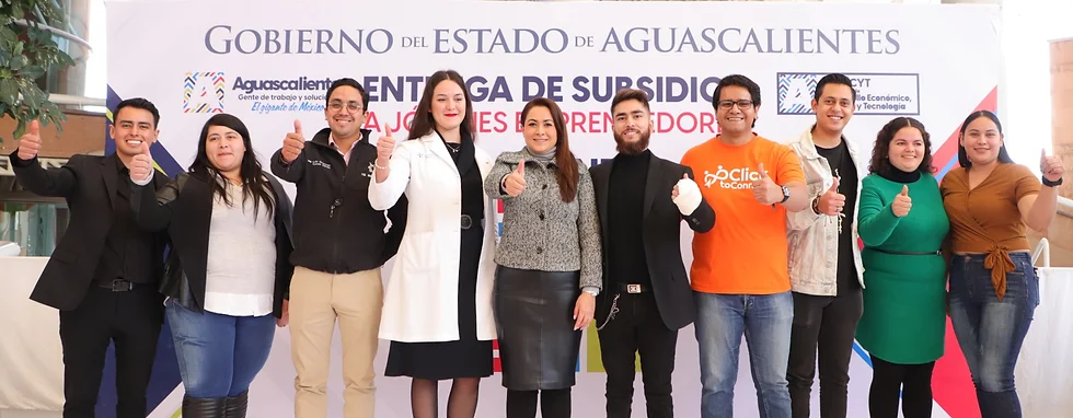 GOBIERNO DE AGUASCALIENTES